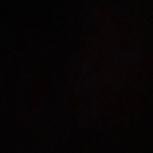 Meet your Posher, Garrett